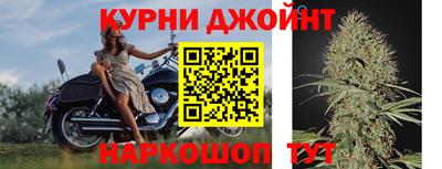 прущие грибы Аргун