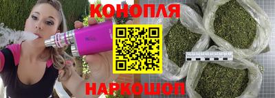 прущие грибы Аргун